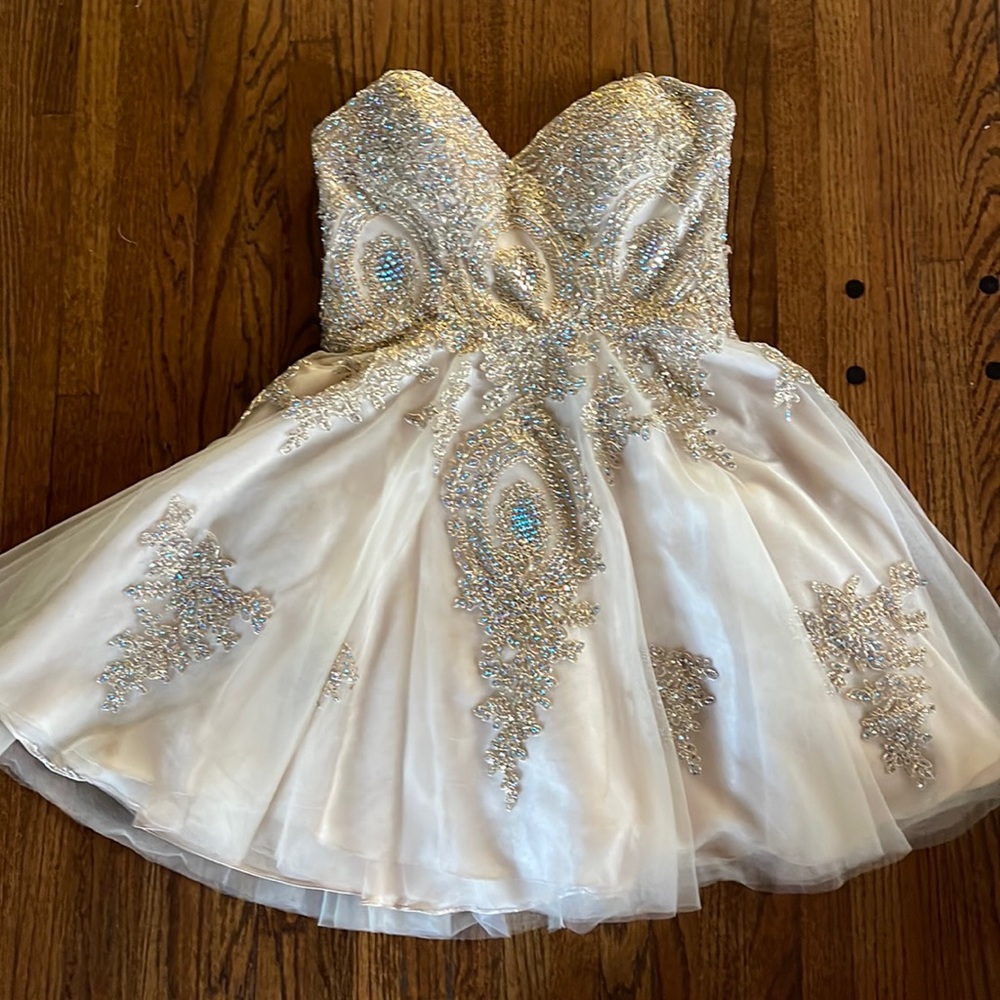 Homecoming/ Winter formal /Prom or Party dress
